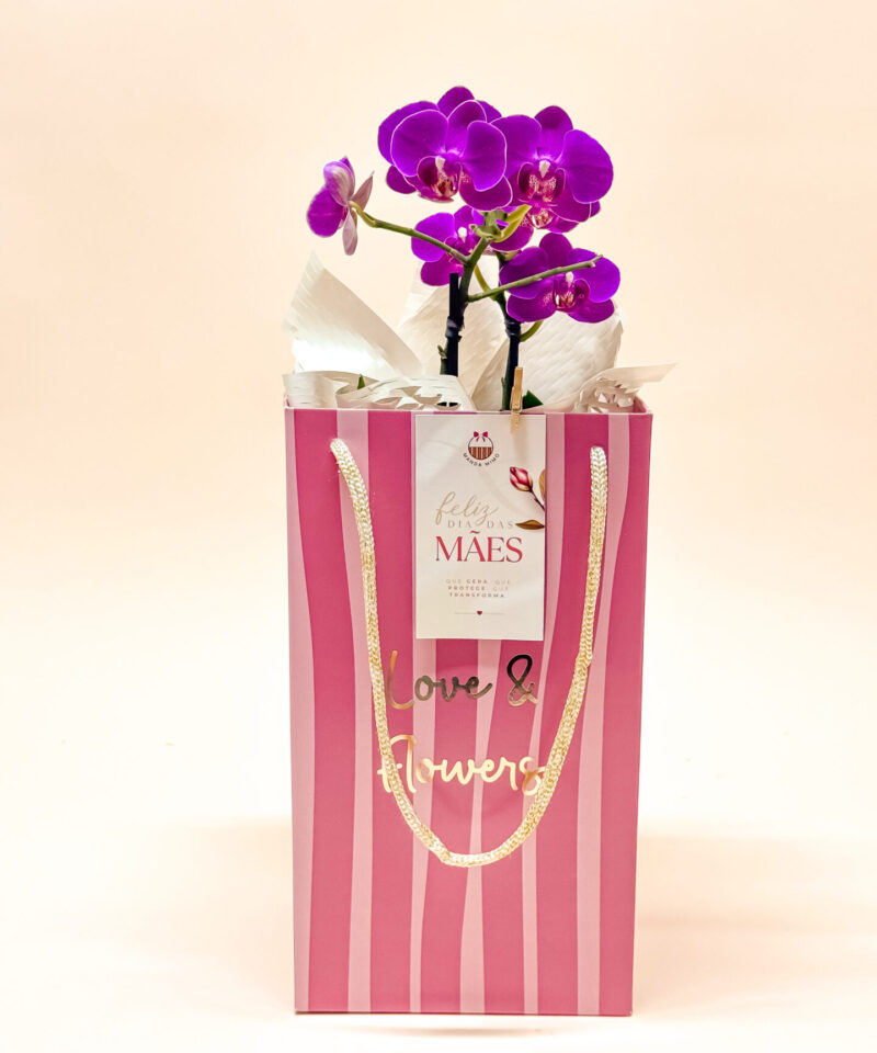 Orquídea Love & Flowers